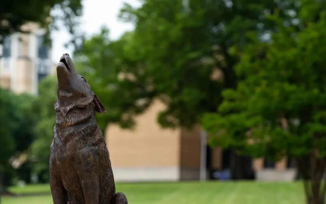 Arkansas State University Institute of Rural Initiatives