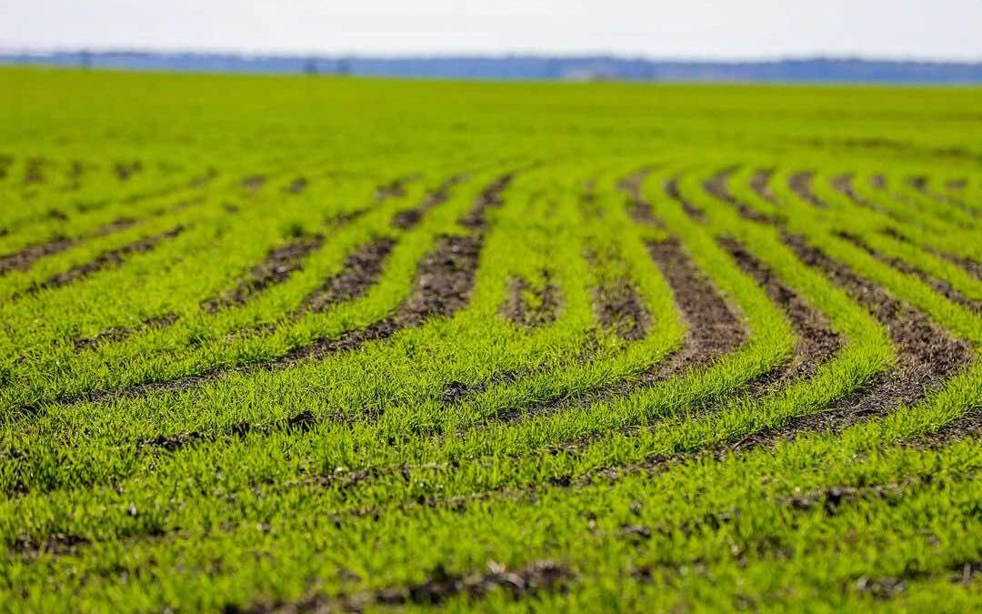 Changing the Rural Landscape